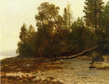 El árbol caído bosque de Albert Bierstadt Pinturas al óleo